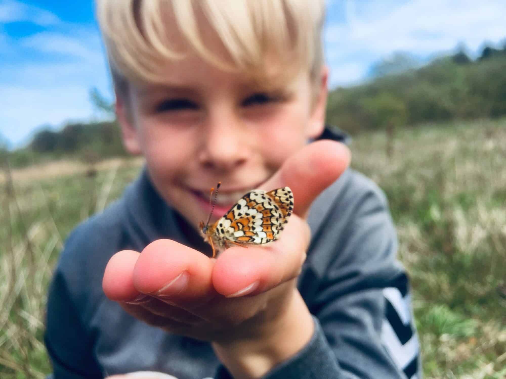 GÆT okkergul pletvinge1