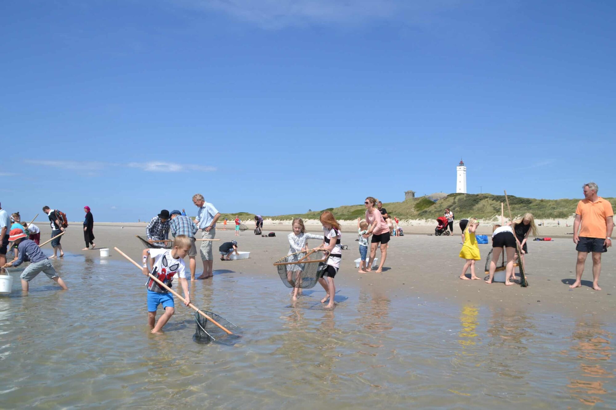 NaturSafari – Strandens og Havets Dyreliv