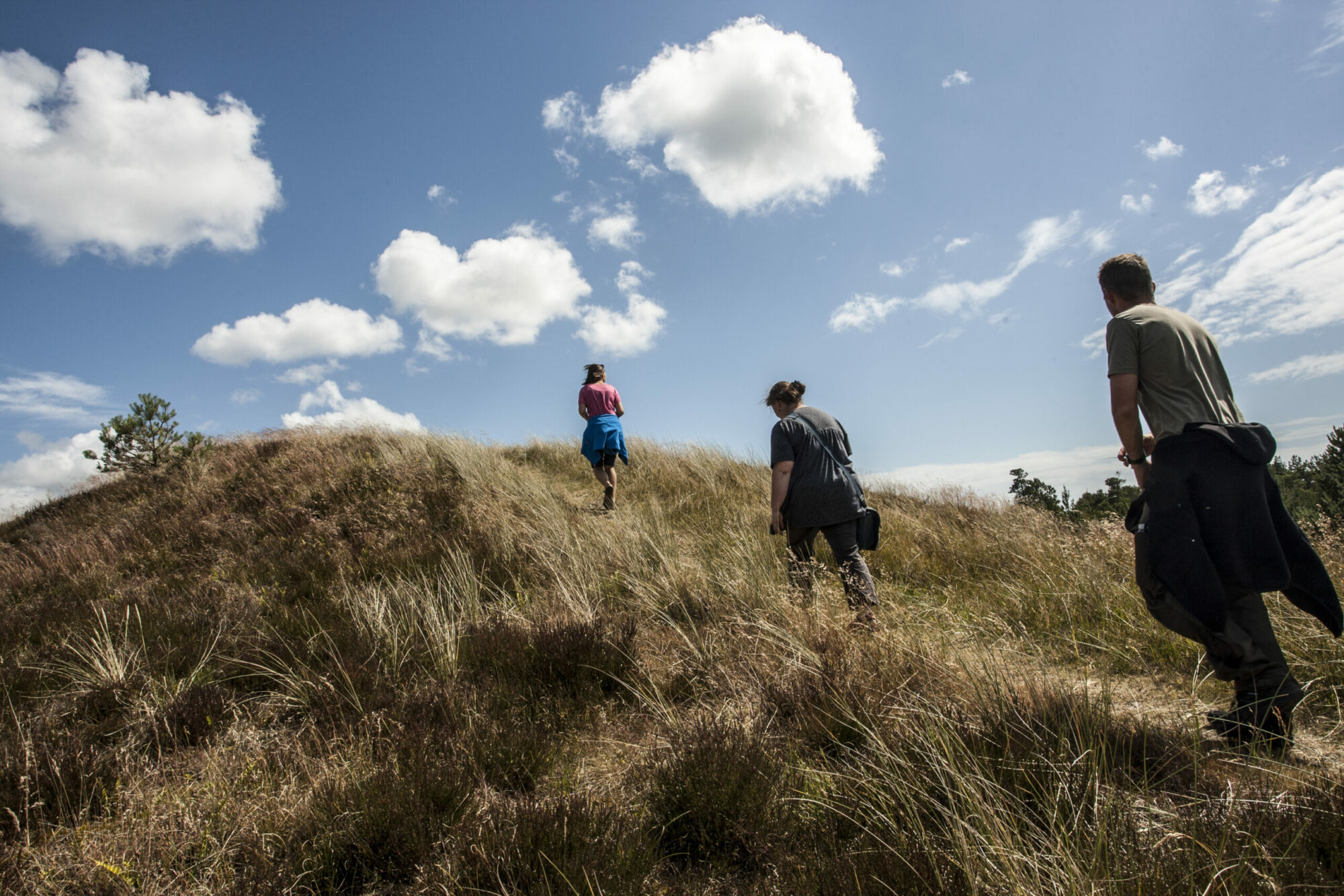 Three people trekking up a hill covered in green grass and trees.