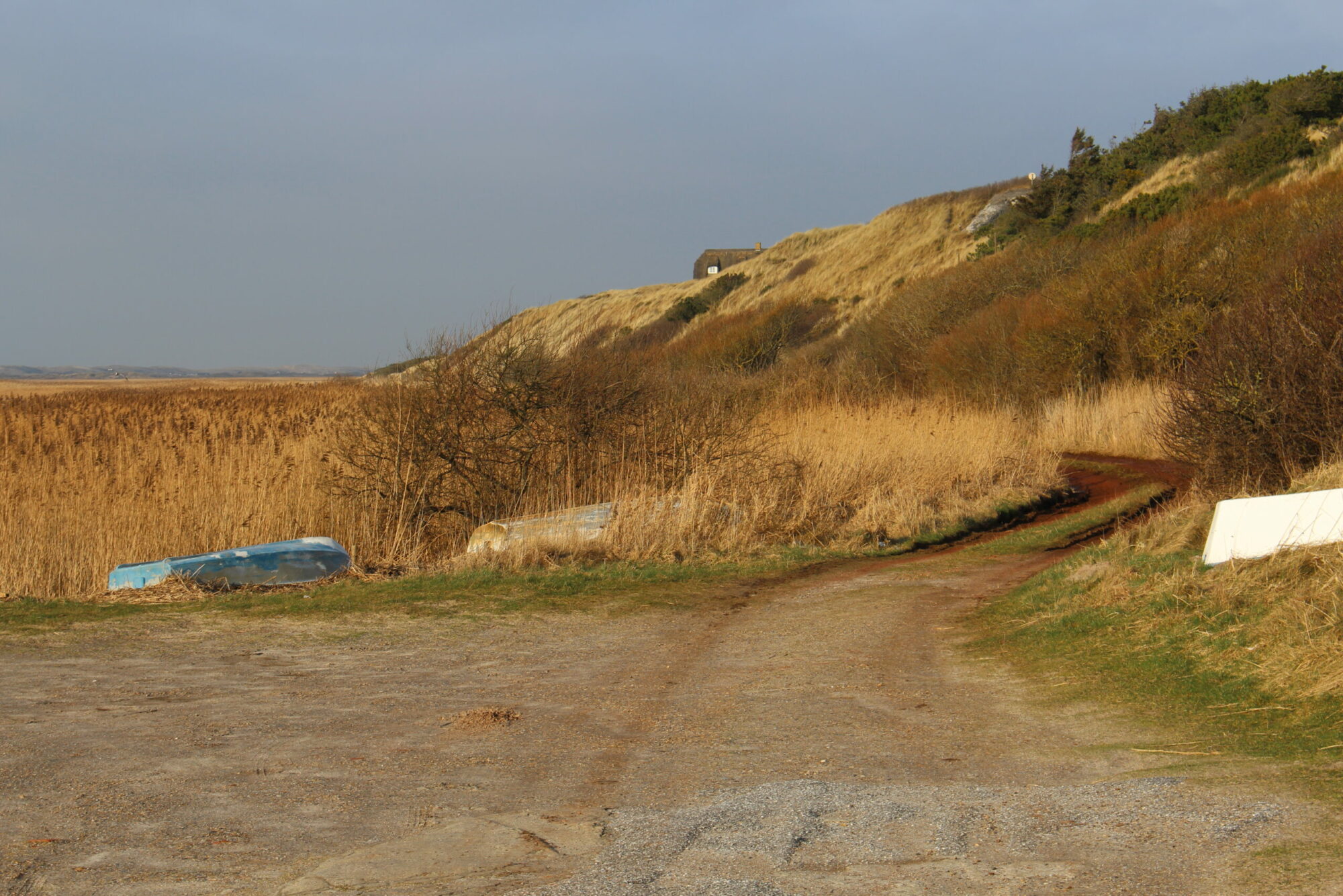 landscape with weathered boats and a winding dirt road leading through tall golden reeds towards a solitary house on a grassy hill